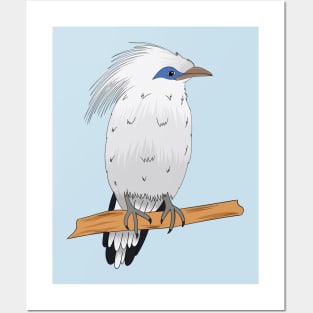 Bali Myna tropical exotic bird Posters and Art